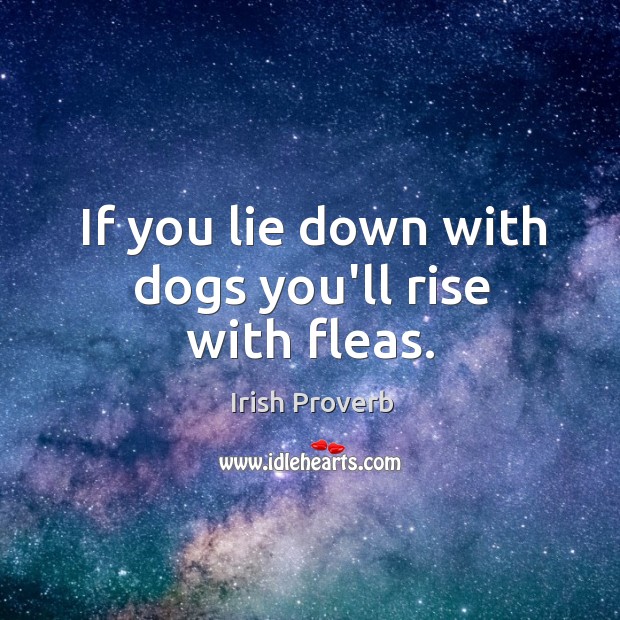 If you lie down with dogs you’ll rise with fleas. Irish Proverbs Image