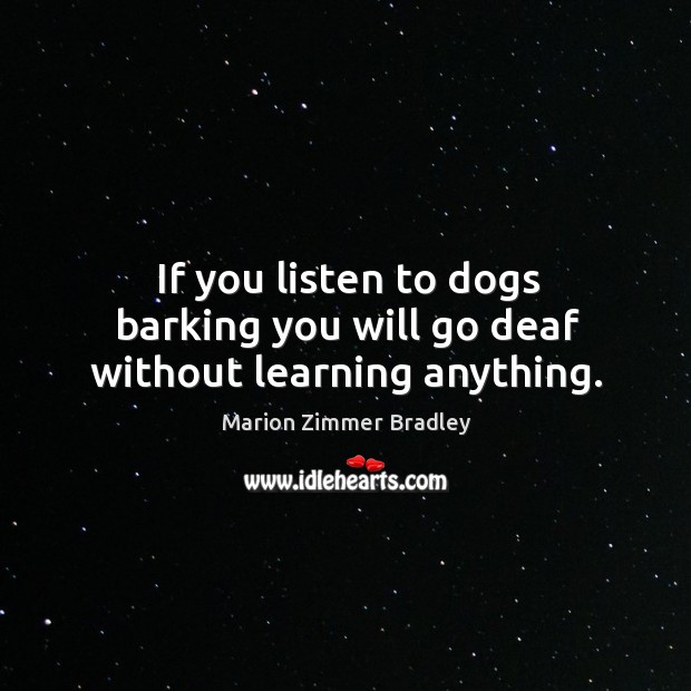 If you listen to dogs barking you will go deaf without learning anything. Image