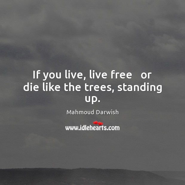 If you live, live free   or die like the trees, standing up. Image