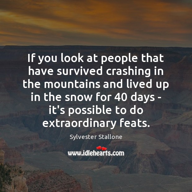 If you look at people that have survived crashing in the mountains Sylvester Stallone Picture Quote