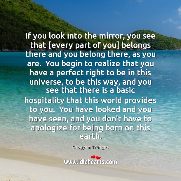 If you look into the mirror, you see that [every part of Chogyam Trungpa Picture Quote