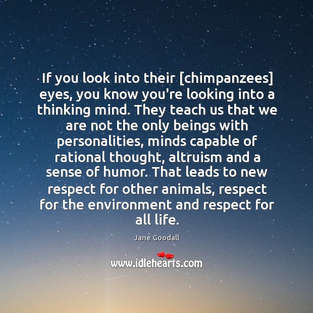 If you look into their [chimpanzees] eyes, you know you’re looking into Jane Goodall Picture Quote