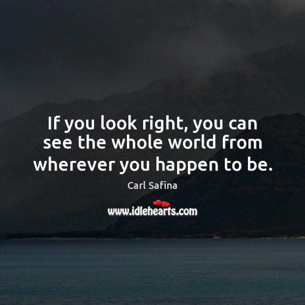 If you look right, you can see the whole world from wherever you happen to be. Carl Safina Picture Quote
