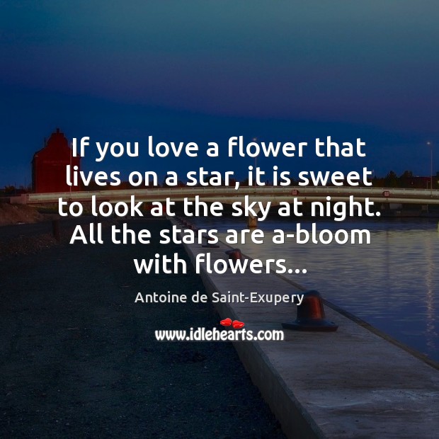 If you love a flower that lives on a star, it is Antoine de Saint-Exupery Picture Quote