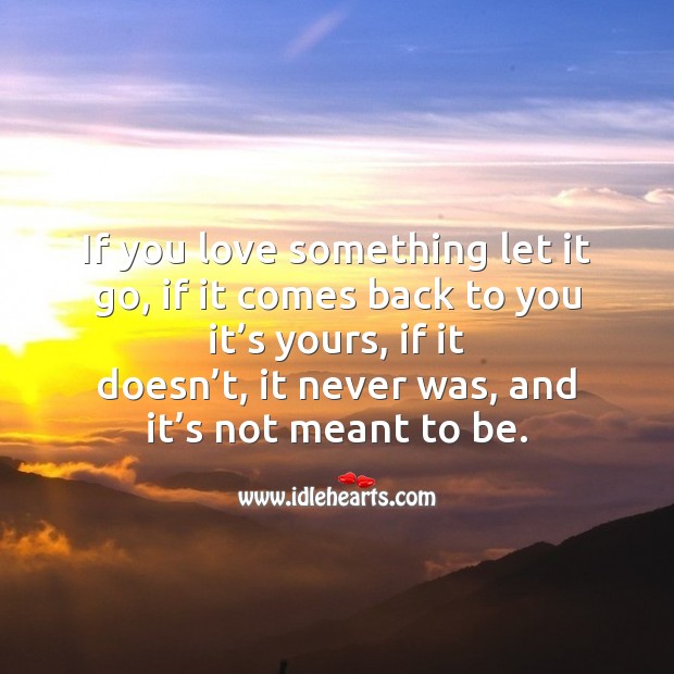 If you love something let it go Image