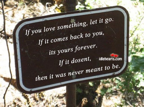 If you love something, let it go. Image