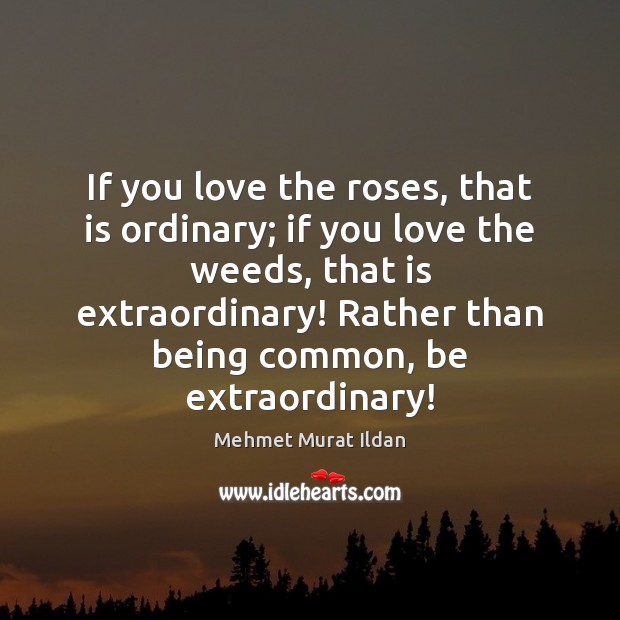 If you love the roses, that is ordinary; if you love the Mehmet Murat Ildan Picture Quote