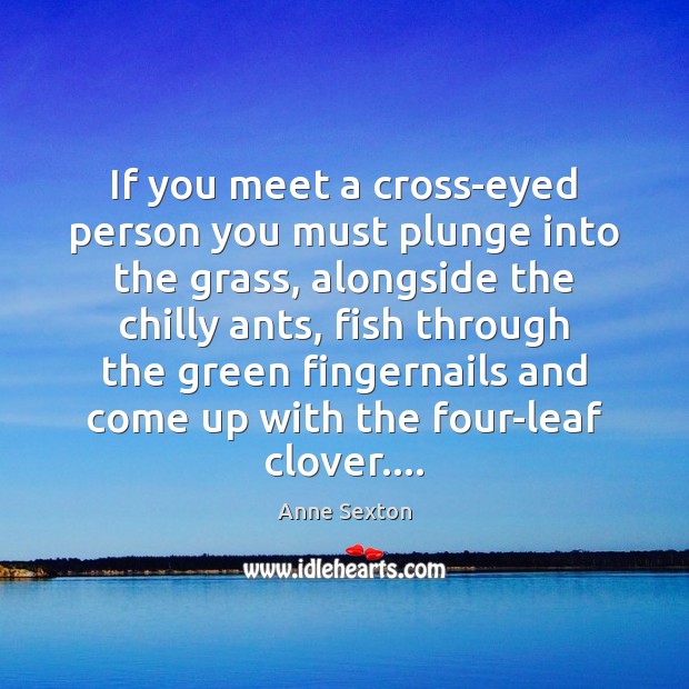 If you meet a cross-eyed person you must plunge into the grass, Image