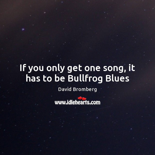 If you only get one song, it has to be Bullfrog Blues David Bromberg Picture Quote