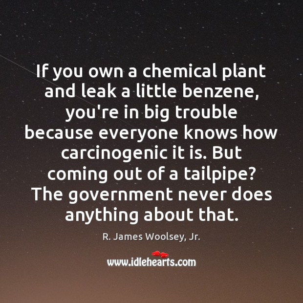 If you own a chemical plant and leak a little benzene, you’re R. James Woolsey, Jr. Picture Quote