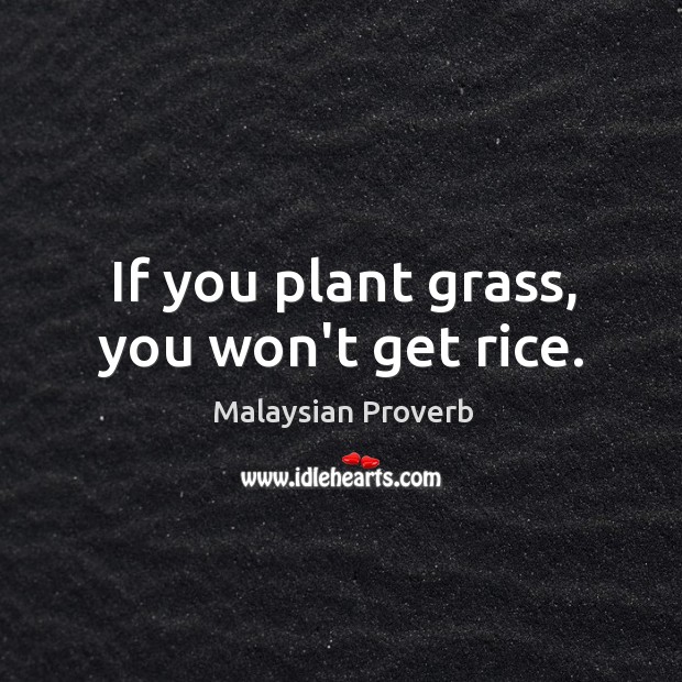 If you plant grass, you won’t get rice. Malaysian Proverbs Image