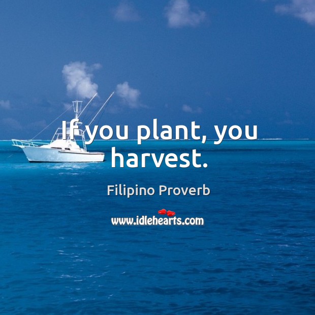 If you plant, you harvest. Filipino Proverbs Image