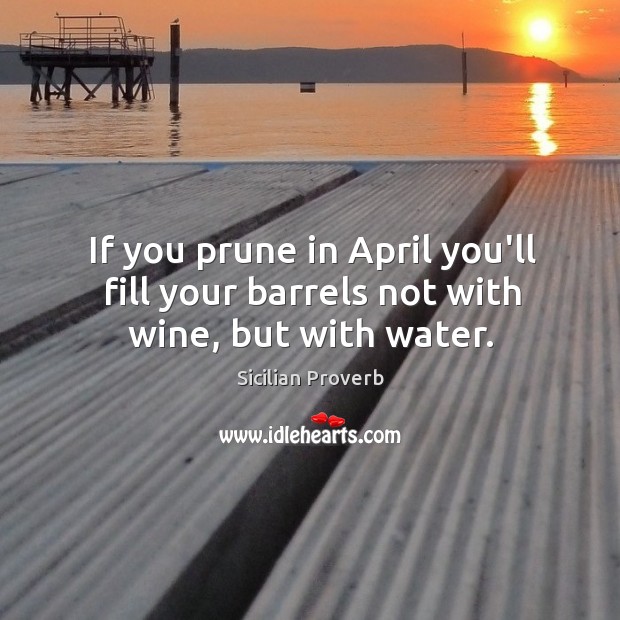 If you prune in april you’ll fill your barrels not with wine, but with water. Image