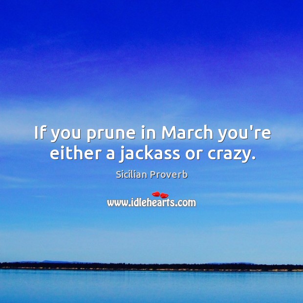 If you prune in march you’re either a jackass or crazy. Sicilian Proverbs Image