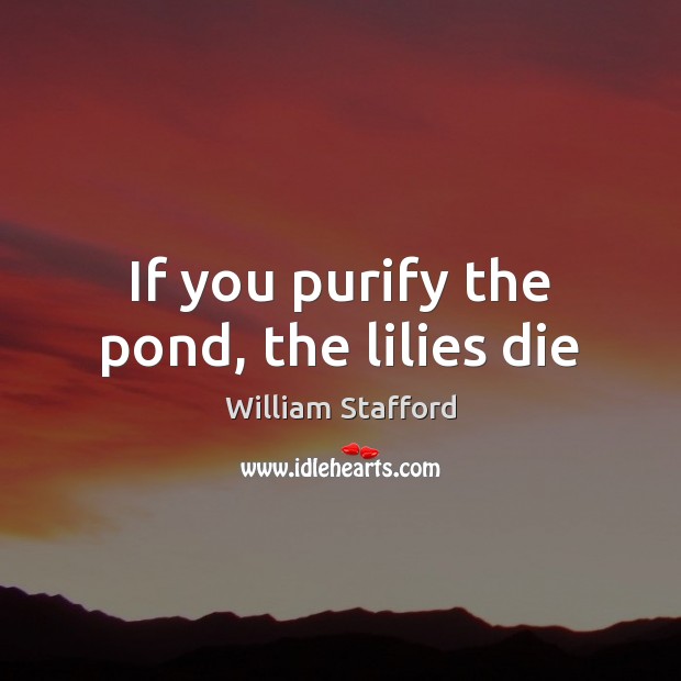 If you purify the pond, the lilies die William Stafford Picture Quote