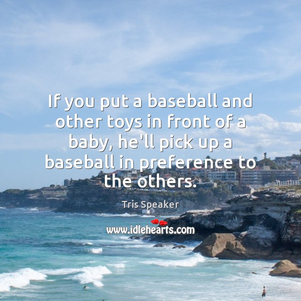 If you put a baseball and other toys in front of a Image