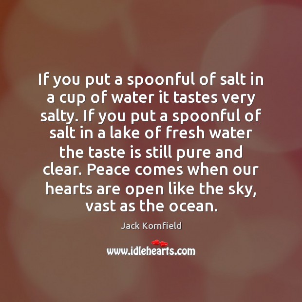 If you put a spoonful of salt in a cup of water Jack Kornfield Picture Quote
