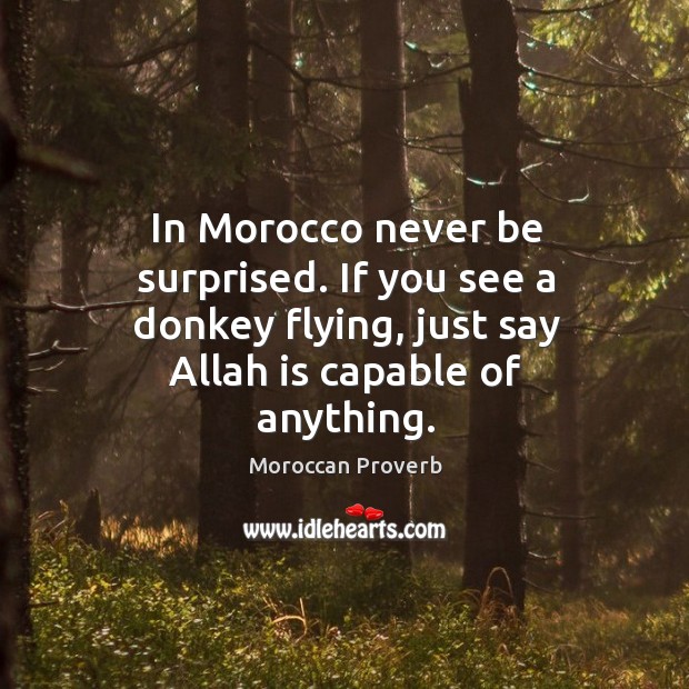 If you see a donkey flying, just say allah is capable of anything. Moroccan Proverbs Image