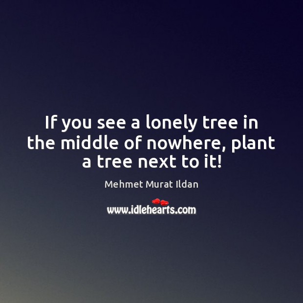 If you see a lonely tree in the middle of nowhere, plant a tree next to it! Mehmet Murat Ildan Picture Quote