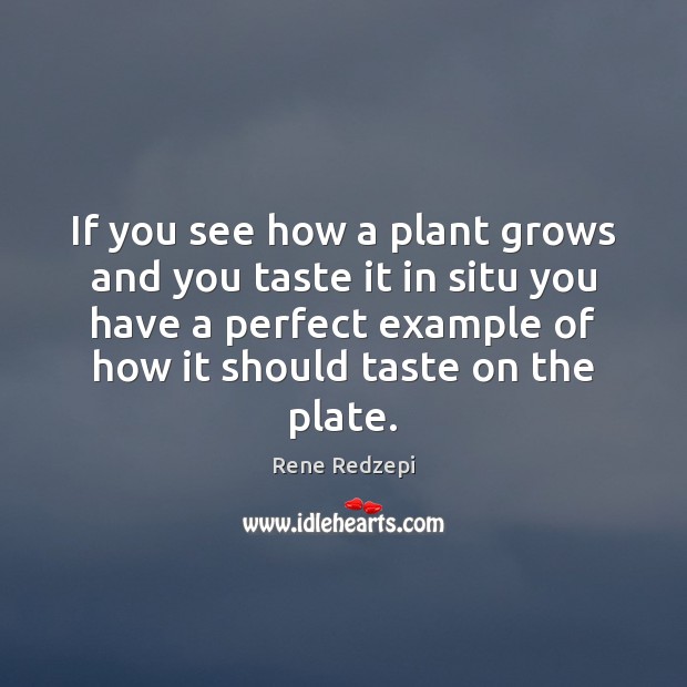 If you see how a plant grows and you taste it in Image