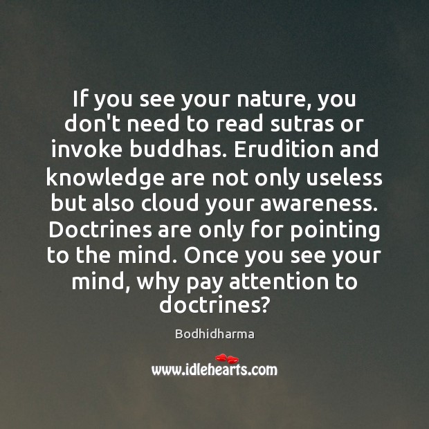If you see your nature, you don’t need to read sutras or Bodhidharma Picture Quote
