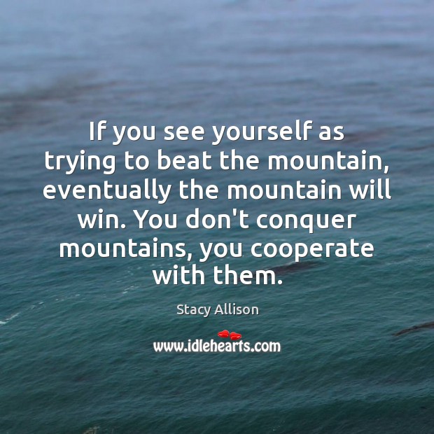 If you see yourself as trying to beat the mountain, eventually the Stacy Allison Picture Quote