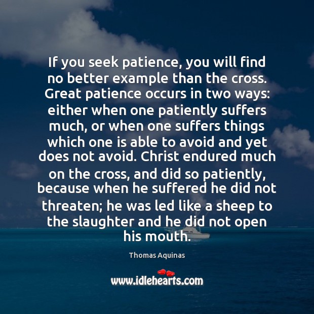 If you seek patience, you will find no better example than the Image