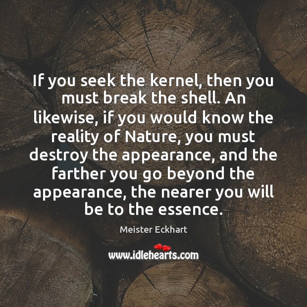 If you seek the kernel, then you must break the shell. An Image