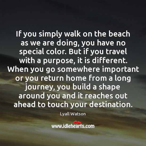 If you simply walk on the beach as we are doing, you Image