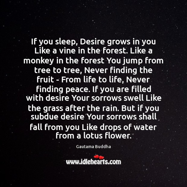 If you sleep, Desire grows in you Like a vine in the Image