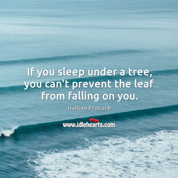 If you sleep under a tree, you can’t prevent the leaf from falling on you. Haitian Proverbs Image