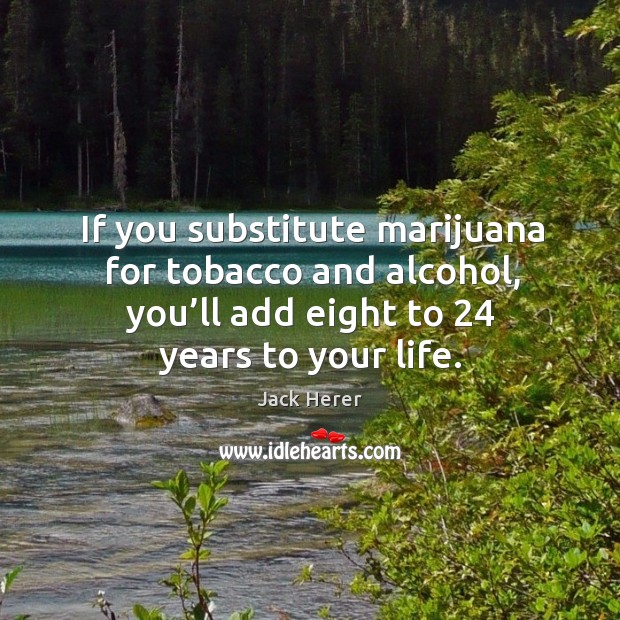 If you substitute marijuana for tobacco and alcohol, you’ll add eight to 24 years to your life. Jack Herer Picture Quote