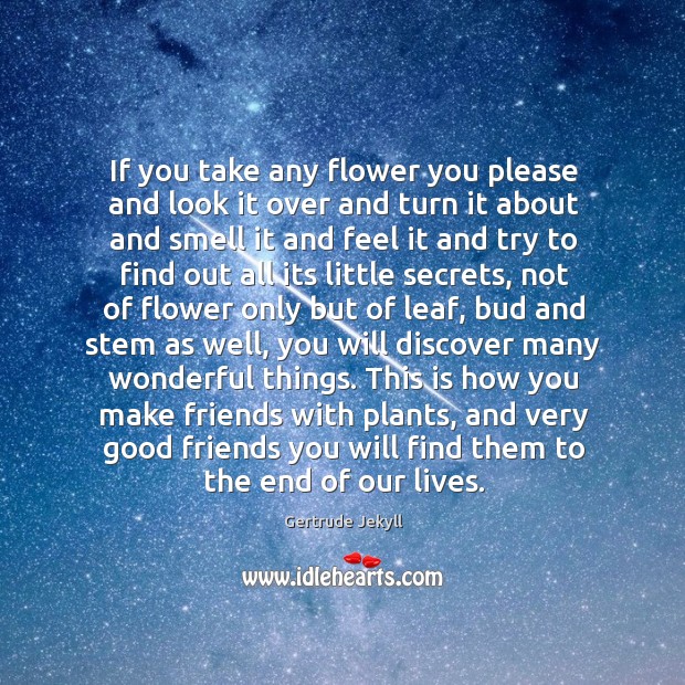 If you take any flower you please and look it over and Image