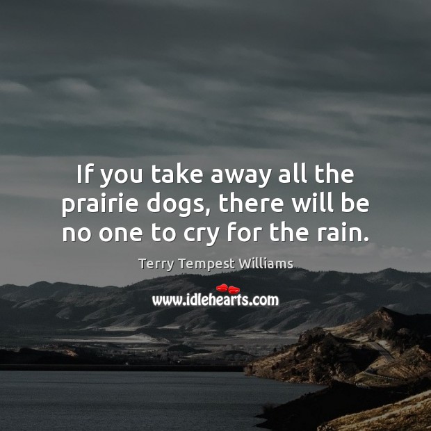 If you take away all the prairie dogs, there will be no one to cry for the rain. Terry Tempest Williams Picture Quote