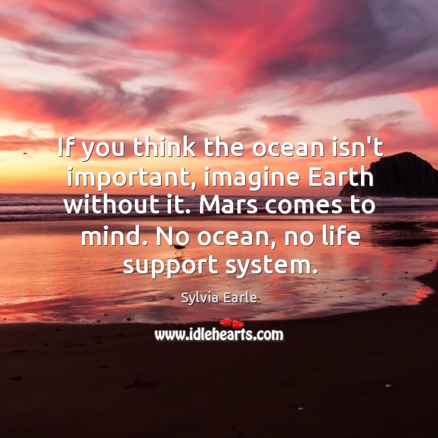 If you think the ocean isn’t important, imagine Earth without it. Mars Sylvia Earle Picture Quote