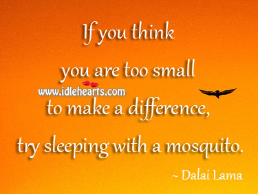 If you think you are too small Dalai Lama Picture Quote
