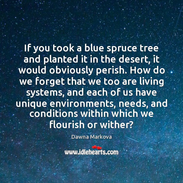 If you took a blue spruce tree and planted it in the Dawna Markova Picture Quote