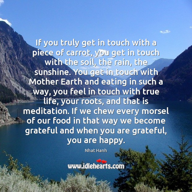 If you truly get in touch with a piece of carrot, you Nhat Hanh Picture Quote