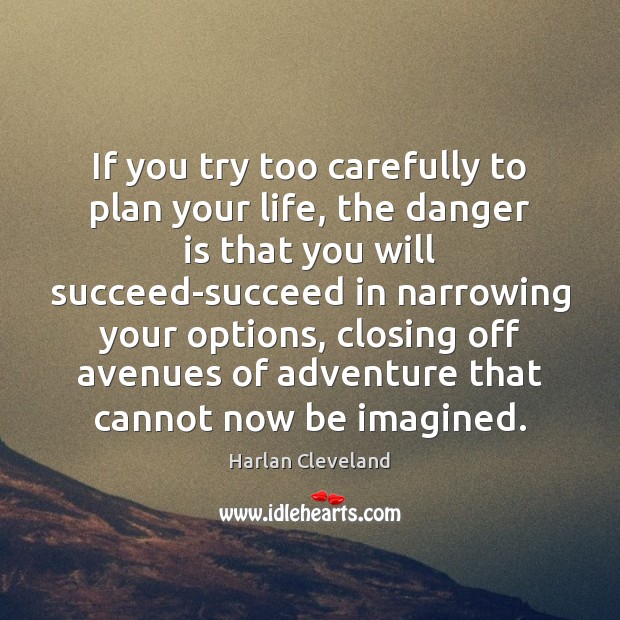 If you try too carefully to plan your life, the danger is Harlan Cleveland Picture Quote