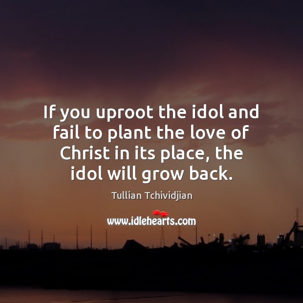 If you uproot the idol and fail to plant the love of Tullian Tchividjian Picture Quote