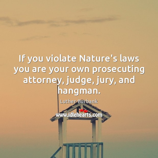 If you violate Nature’s laws you are your own prosecuting attorney, judge, Luther Burbank Picture Quote