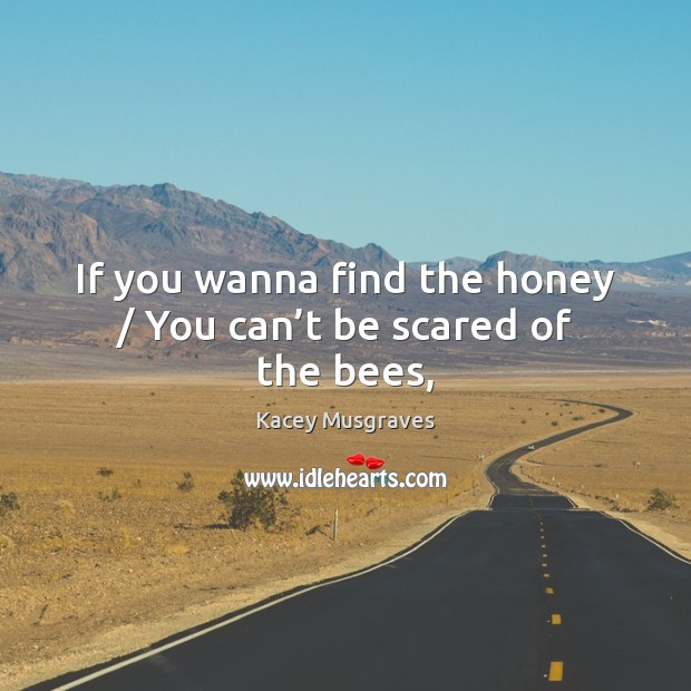 If you wanna find the honey / You can’t be scared of the bees, Image