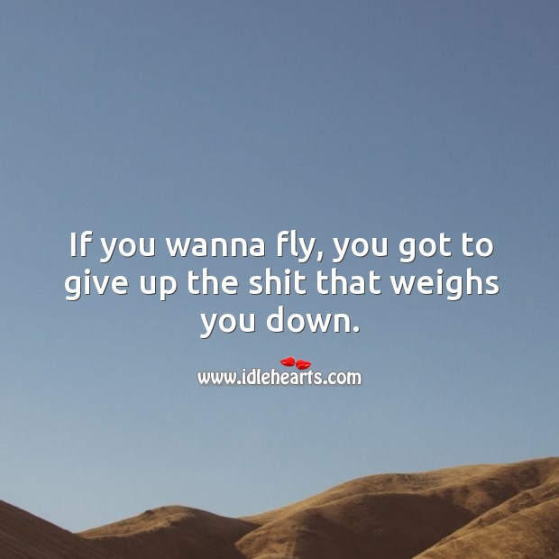 If you wanna fly, you got to give up the shit that weighs you down. Image
