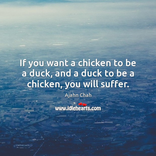 If you want a chicken to be a duck, and a duck to be a chicken, you will suffer. Ajahn Chah Picture Quote