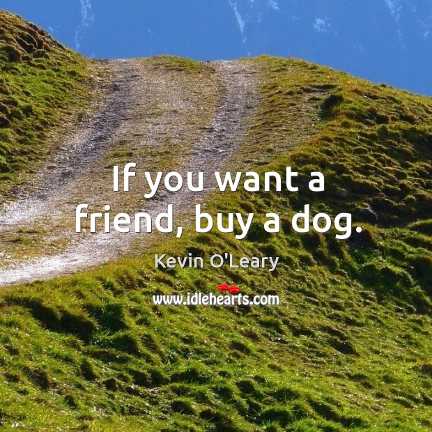 If you want a friend, buy a dog. Image