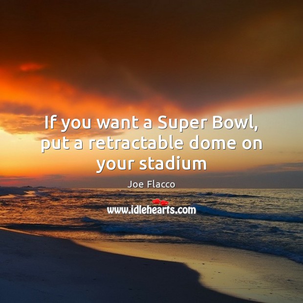 If you want a Super Bowl, put a retractable dome on your stadium Joe Flacco Picture Quote
