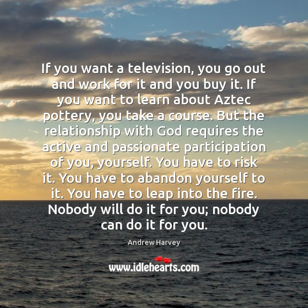 If you want a television, you go out and work for it Andrew Harvey Picture Quote