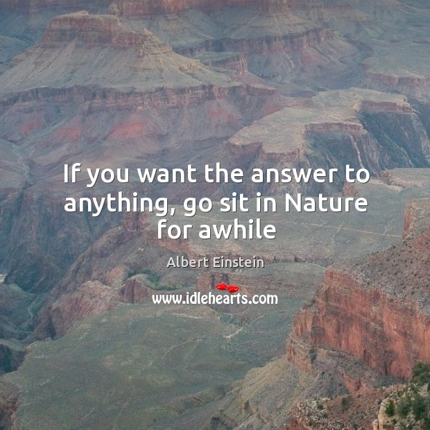 If you want the answer to anything, go sit in Nature for awhile Image
