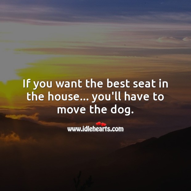 If you want the best seat in the house… you’ll have to move the dog. Pet Quotes Image