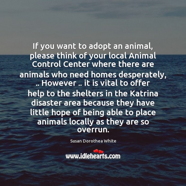 If you want to adopt an animal, please think of your local Susan Dorothea White Picture Quote